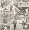 Pesta Sukan: Forging Unity and Champions Through Team Sports