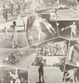 Singapore’s Sporting Heritage: A Legacy Forged Through Pesta Sukan