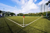 St Wilfred Field