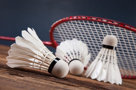 Learn Badminton