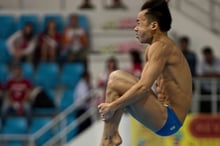 Dive groups and positions in springboard and platform diving