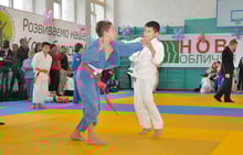 	Judo joint locking techniques