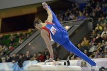 Components of Men's Artistic Gymnastics
