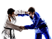 Basic rules of Judo