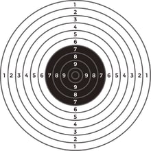 Target standards for shooting