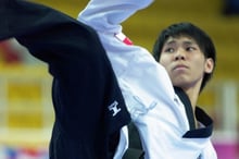 Taekwondo theory of power