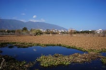 	Cycling around Erhai Lake