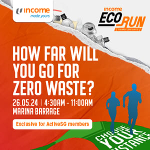 Income Eco Run 2024