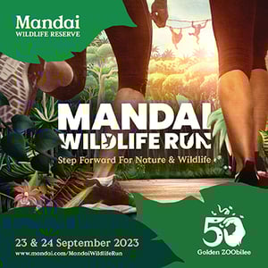 Mandai Wildlife Run