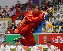 Wushu