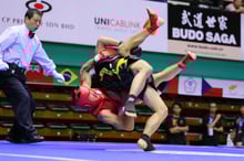 Sanshou Judges Signals
