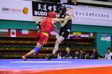 Scoring in Sanshou