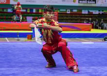 Wushu competition rules for Taolu