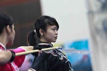 Wushu weapons
