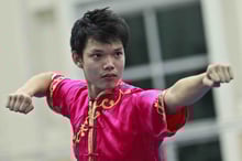 Basic Wushu moves