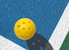 Pickleball Sports