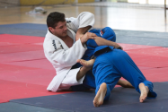 Ground techniques in Judo