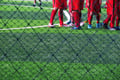 Importance of Team Sports