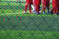 Importance of Team Sports