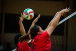 Volleyball Sports