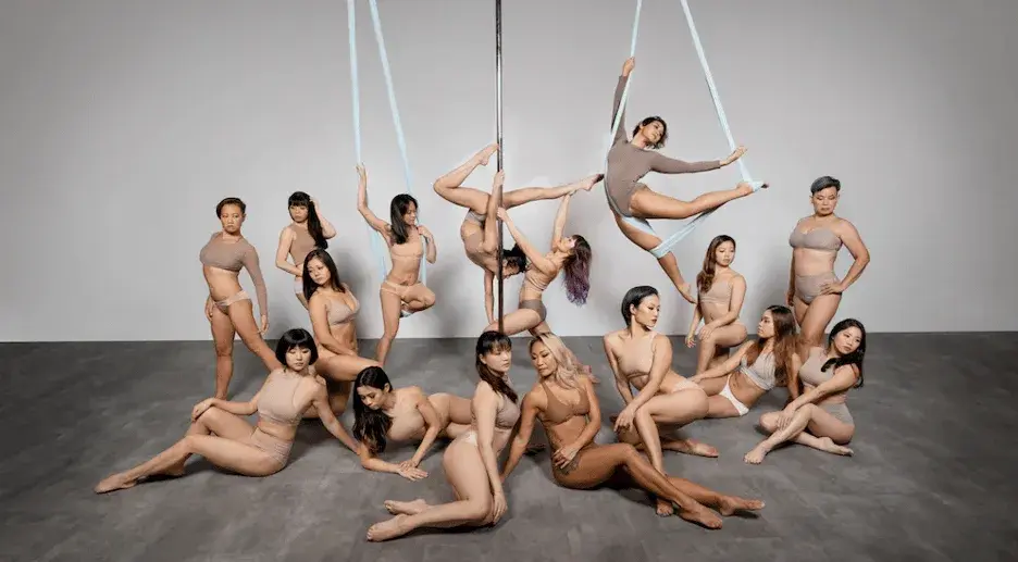 Group of pole and aerial dancers