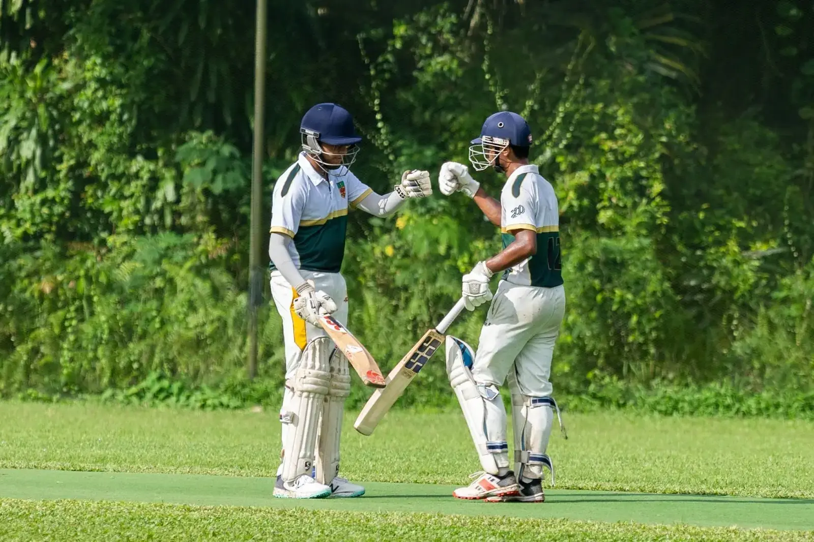 NSG 2024 Cricket: A Div Anglo-Chinese School (Independent) vs Raffles Institution