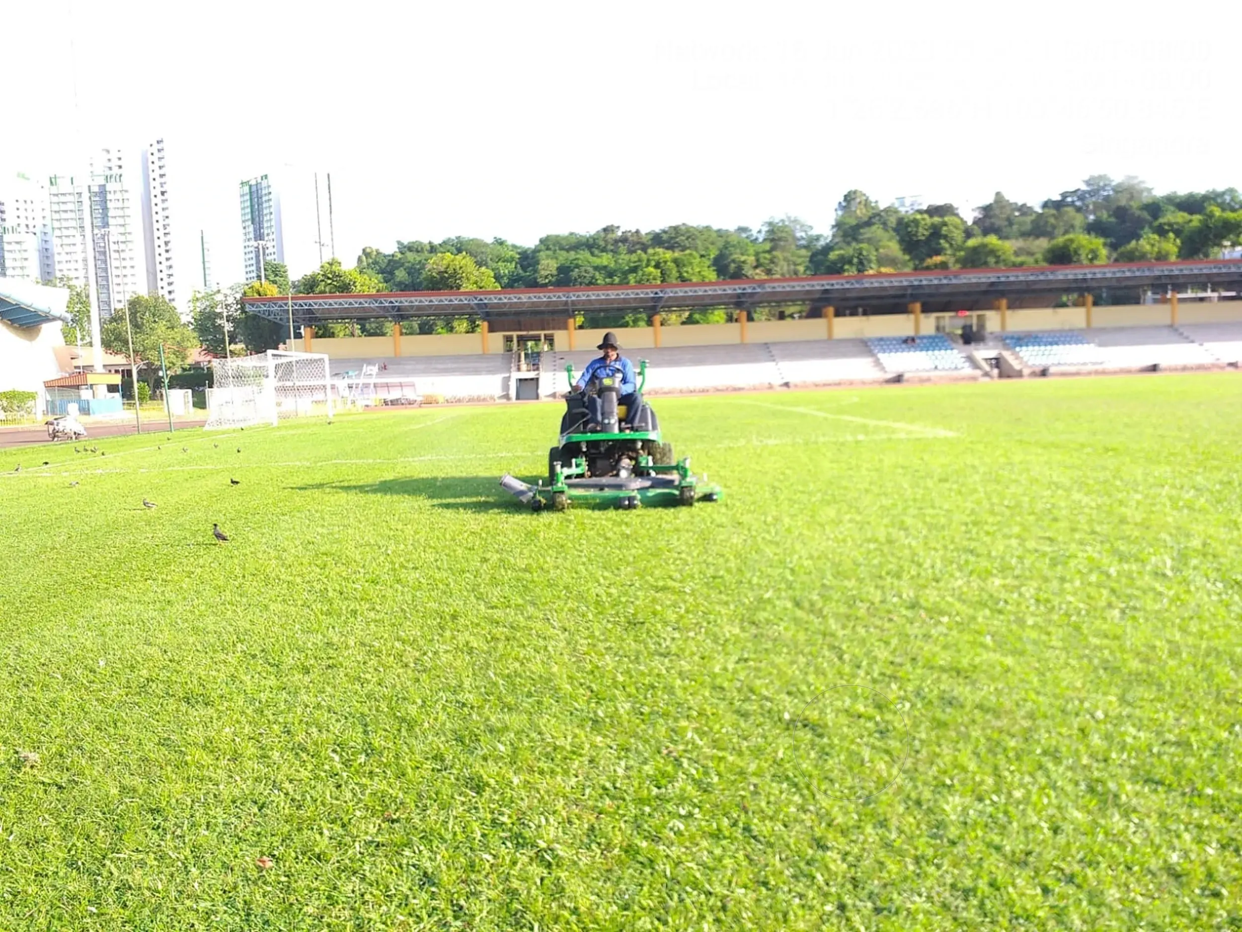 field1b