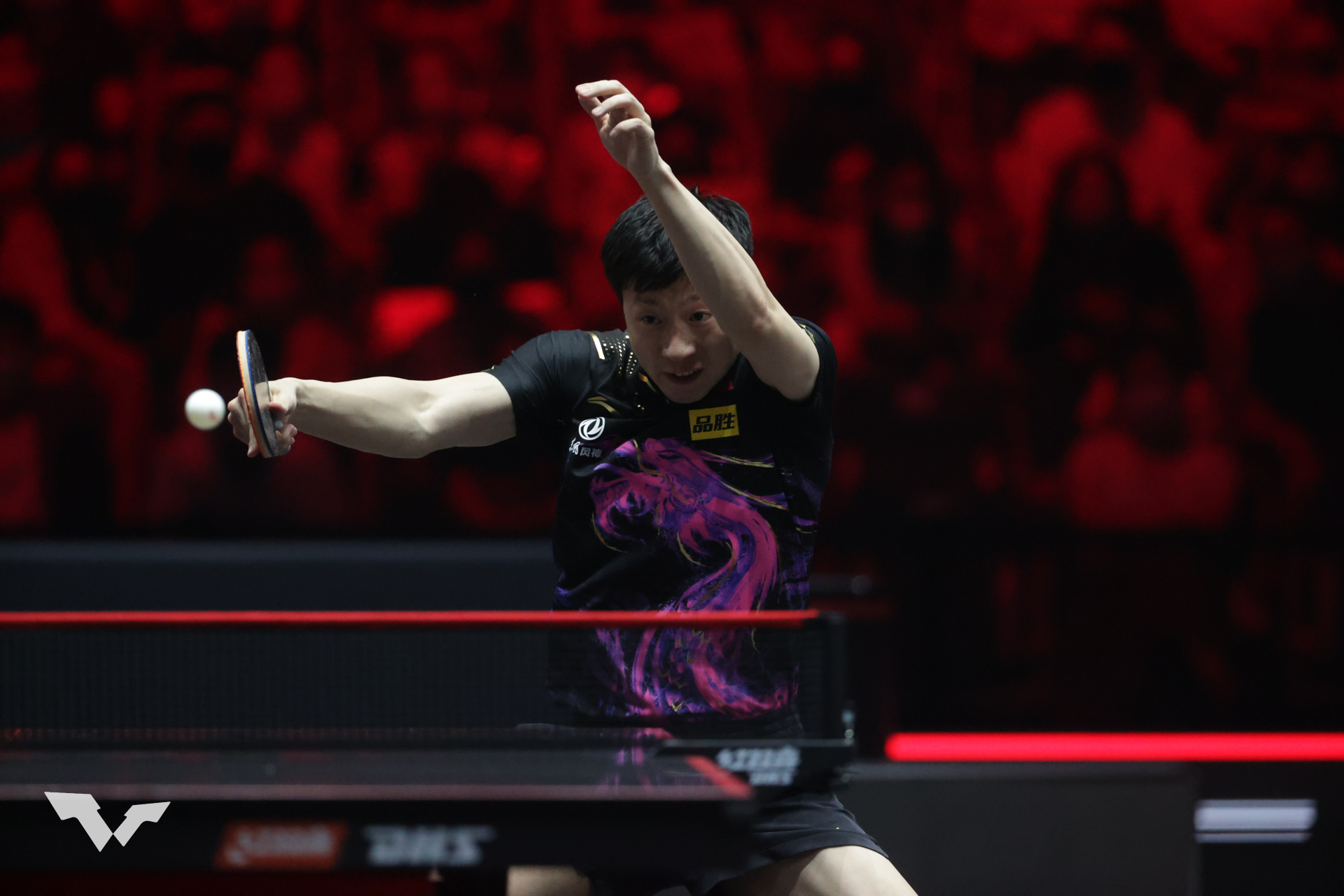 MA Long (CHN)_WTT Grand Smash_Singapore_Day10_241 (1)