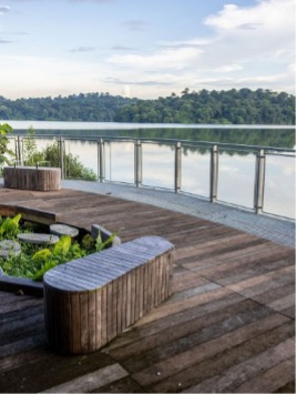 Mandai Boardwalk