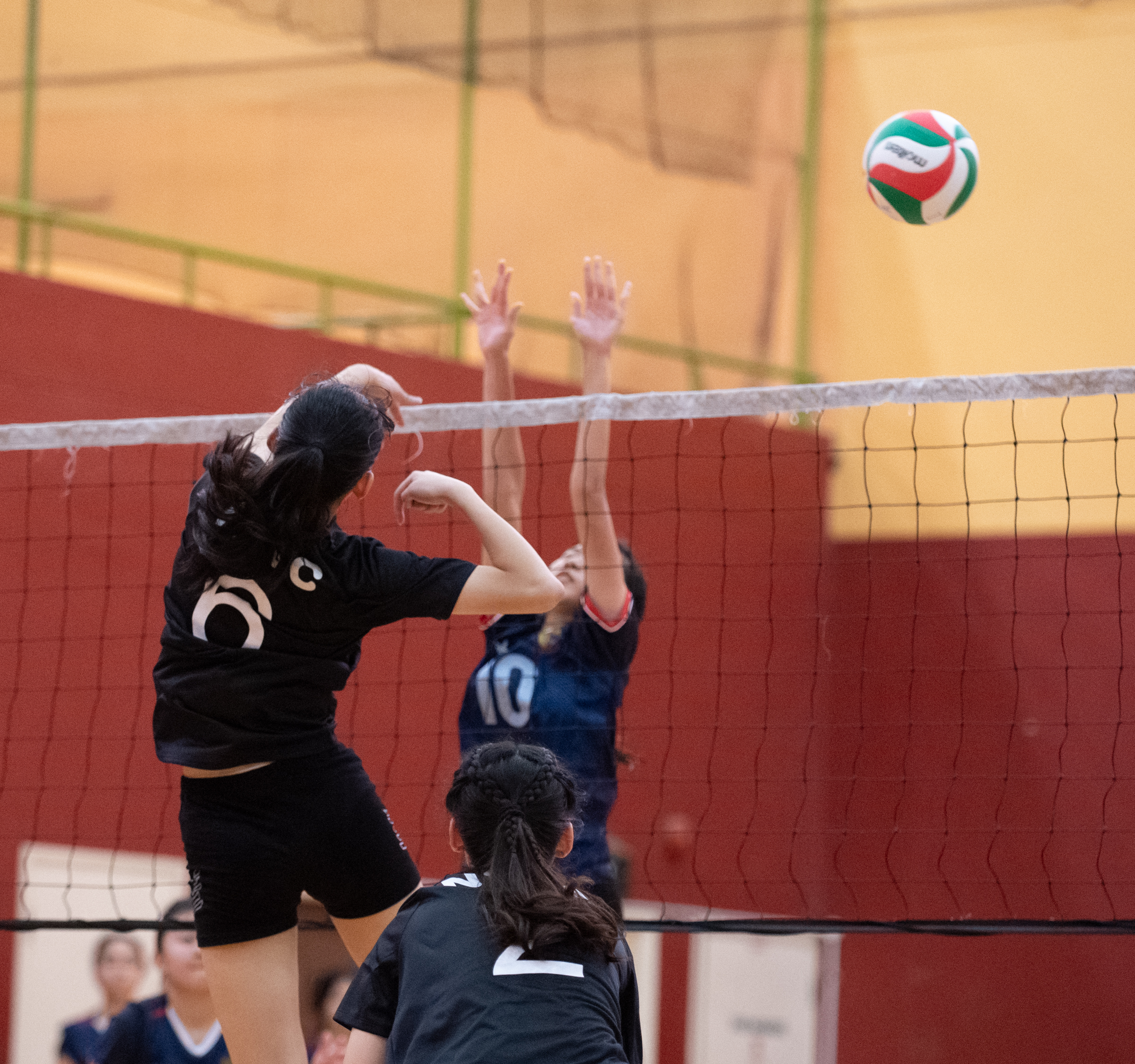 2023 NSGVolleyball Shaun Ho 26Apr230315