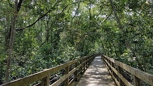 Pasir Ris Park