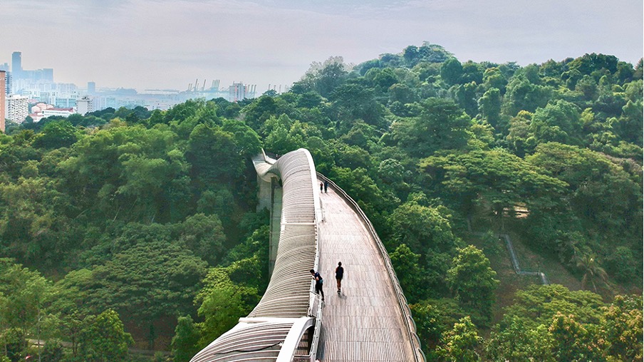 Southern Ridges